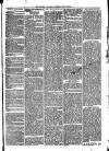 Llanelly and County Guardian and South Wales Advertiser Thursday 21 July 1870 Page 3