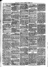 Llanelly and County Guardian and South Wales Advertiser Thursday 08 December 1870 Page 3