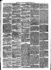 Llanelly and County Guardian and South Wales Advertiser Thursday 15 December 1870 Page 3