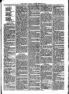 Llanelly and County Guardian and South Wales Advertiser Thursday 29 December 1870 Page 3