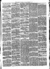 Llanelly and County Guardian and South Wales Advertiser Thursday 05 January 1871 Page 3