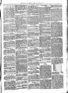 Llanelly and County Guardian and South Wales Advertiser Thursday 12 January 1871 Page 3