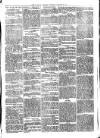 Llanelly and County Guardian and South Wales Advertiser Thursday 19 January 1871 Page 3