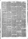 Llanelly and County Guardian and South Wales Advertiser Thursday 19 January 1871 Page 5