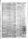 Llanelly and County Guardian and South Wales Advertiser Thursday 19 January 1871 Page 7