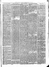 Llanelly and County Guardian and South Wales Advertiser Thursday 26 January 1871 Page 5