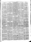 Llanelly and County Guardian and South Wales Advertiser Thursday 16 February 1871 Page 5