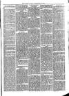 Llanelly and County Guardian and South Wales Advertiser Thursday 11 May 1871 Page 5