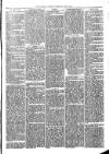 Llanelly and County Guardian and South Wales Advertiser Thursday 22 June 1871 Page 5