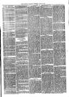 Llanelly and County Guardian and South Wales Advertiser Thursday 03 August 1871 Page 3