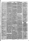 Llanelly and County Guardian and South Wales Advertiser Thursday 14 September 1871 Page 5