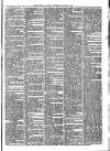 Llanelly and County Guardian and South Wales Advertiser Thursday 07 December 1871 Page 3