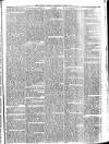 Llanelly and County Guardian and South Wales Advertiser Thursday 28 March 1872 Page 5