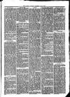 Llanelly and County Guardian and South Wales Advertiser Thursday 19 June 1873 Page 5