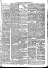 Llanelly and County Guardian and South Wales Advertiser Thursday 06 November 1873 Page 5