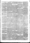 Llanelly and County Guardian and South Wales Advertiser Thursday 13 November 1873 Page 3