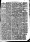 Llanelly and County Guardian and South Wales Advertiser Thursday 01 January 1874 Page 3