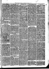 Llanelly and County Guardian and South Wales Advertiser Thursday 01 January 1874 Page 7