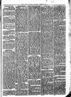 Llanelly and County Guardian and South Wales Advertiser Thursday 15 January 1874 Page 3