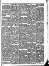 Llanelly and County Guardian and South Wales Advertiser Thursday 22 January 1874 Page 3