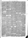 Llanelly and County Guardian and South Wales Advertiser Thursday 30 April 1874 Page 3