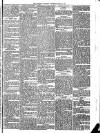 Llanelly and County Guardian and South Wales Advertiser Thursday 30 April 1874 Page 5