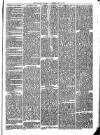 Llanelly and County Guardian and South Wales Advertiser Thursday 16 July 1874 Page 3