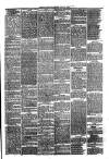 Llanelly and County Guardian and South Wales Advertiser Thursday 06 April 1876 Page 3