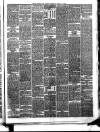 Llanelly and County Guardian and South Wales Advertiser Thursday 13 March 1879 Page 3