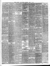 Llanelly and County Guardian and South Wales Advertiser Thursday 02 April 1885 Page 3