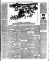 Midland Mail Saturday 31 March 1900 Page 3