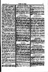 Y Tyst Friday 26 January 1877 Page 9