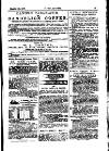 Y Tyst Friday 23 February 1877 Page 13