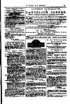 Y Tyst Friday 21 September 1877 Page 13