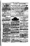 Y Tyst Friday 28 September 1877 Page 13
