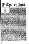 Y Tyst Friday 23 April 1880 Page 3