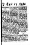 Y Tyst Friday 21 May 1880 Page 3