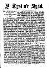 Y Tyst Friday 25 June 1880 Page 3