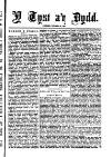 Y Tyst Friday 29 October 1880 Page 3
