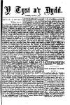 Y Tyst Friday 07 January 1881 Page 3