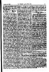 Y Tyst Friday 11 February 1881 Page 9