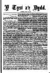 Y Tyst Friday 22 April 1881 Page 3