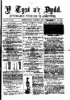 Y Tyst Friday 04 November 1881 Page 1