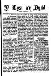 Y Tyst Friday 11 November 1881 Page 3