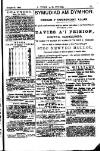 Y Tyst Friday 27 October 1882 Page 13