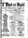 Y Tyst Friday 18 January 1889 Page 1