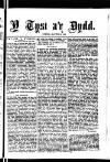 Y Tyst Friday 22 March 1889 Page 3