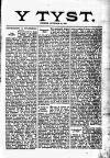 Y Tyst Friday 26 February 1892 Page 3