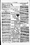 Y Tyst Friday 28 October 1892 Page 13