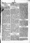 Y Tyst Friday 08 September 1893 Page 11